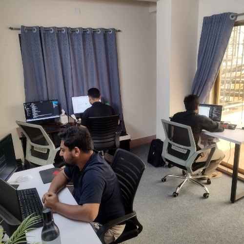 Digital Marketing Professionals